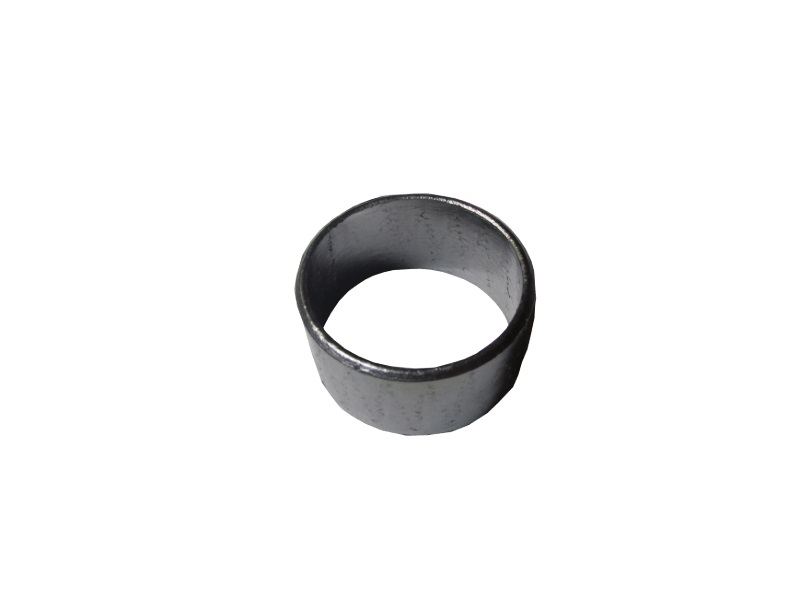 EGZOZ KELEPÇE BURCU