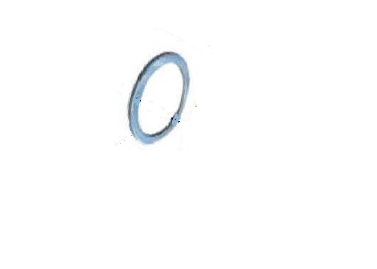 ZİNCİR DİŞLİ PULU