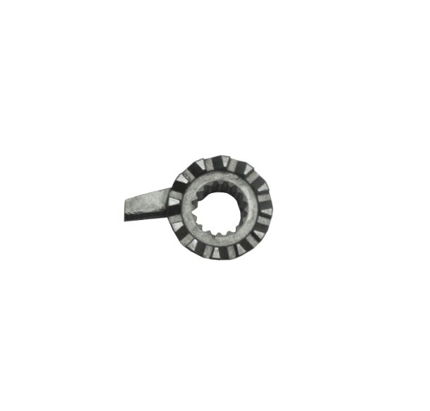 MARŞ DİŞLİ KARŞILIĞI