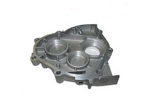 ŞANZIMAN KAPAĞI ARKA