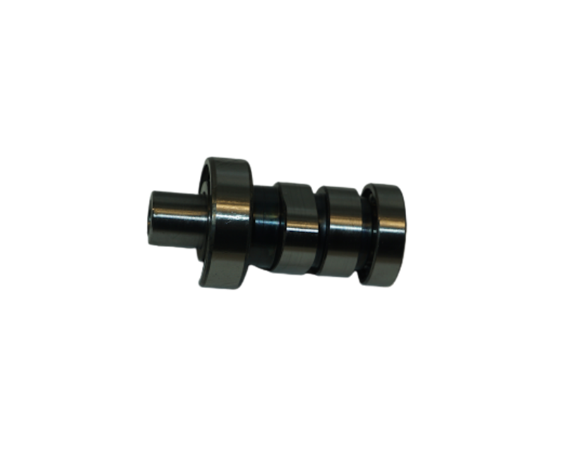 EKSANTRİK MİLİ  KOMPLE 2020