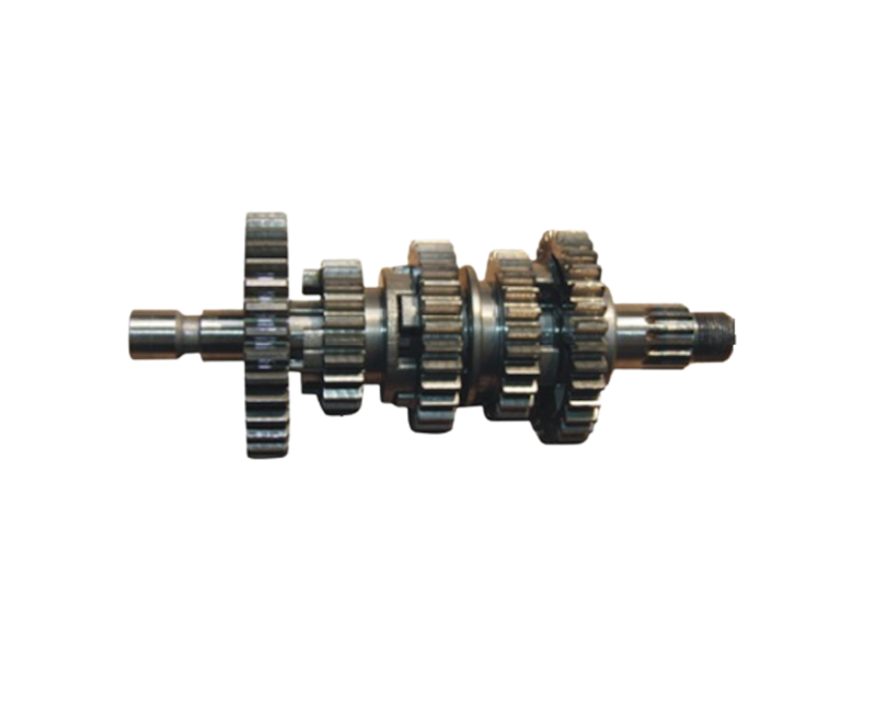 ŞANZUMAN DİŞLİ GRUBU  GİRİŞ