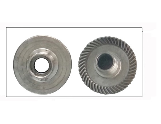 AKS DİŞLİSİ ARKA BÜYÜK