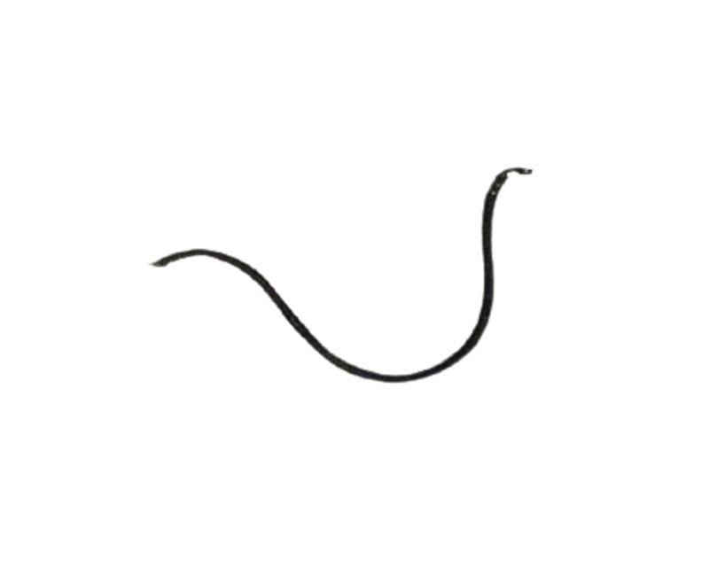 FREN HAMİLİ HORTUMU ÖN