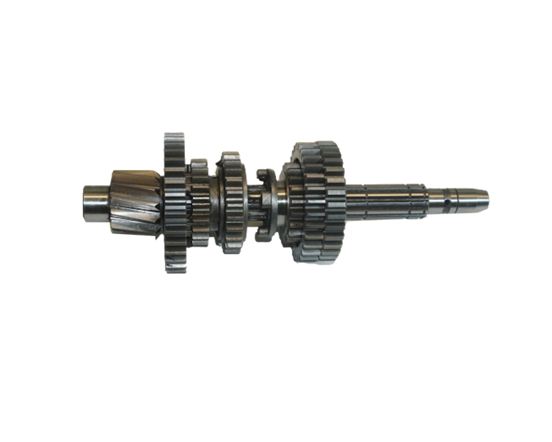 ŞANZUMAN DİŞLİ GRUBU  ÇIKIŞ