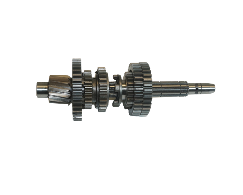 ŞANZUMAN DİŞLİ GRUBU  ÇIKIŞ