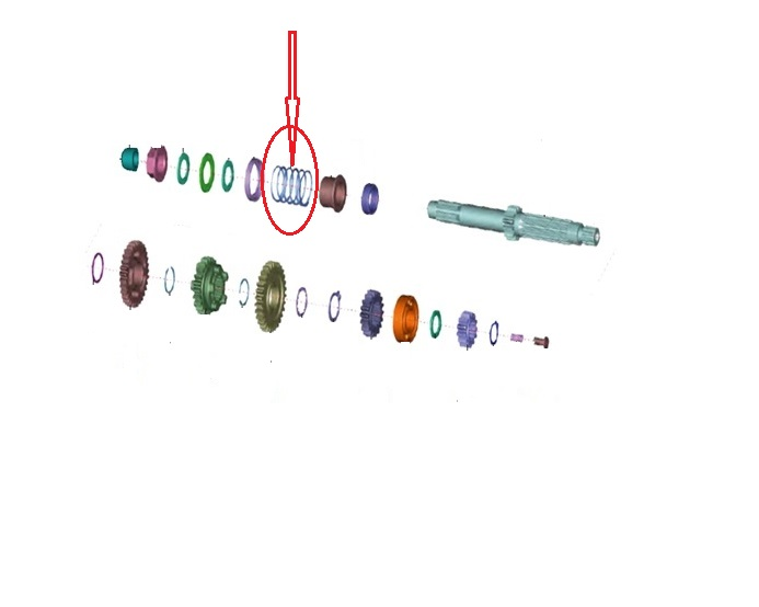 ŞANZUMAN GİRİŞ MİLİ YAYI