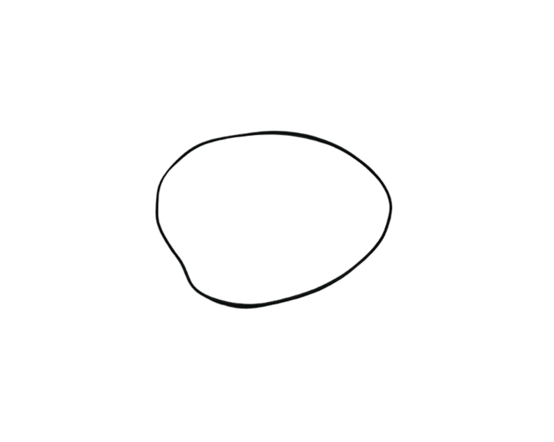 ŞANZUMAN KAPAK ORING SAĞ