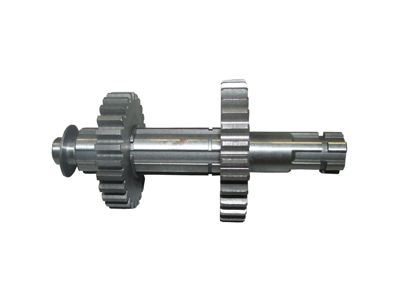 ŞANZUMAN DİŞLİ GRUBU  GİRİŞ