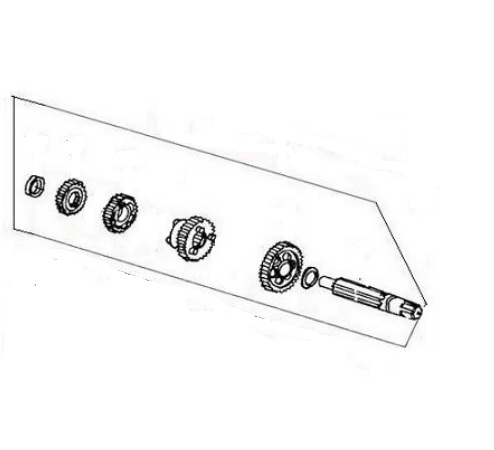 ŞANZIMAN DİŞLİ GRUBU  ÇIKIŞ